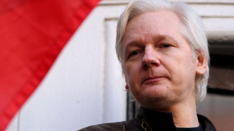 WikiLeaks founder Julian Assange