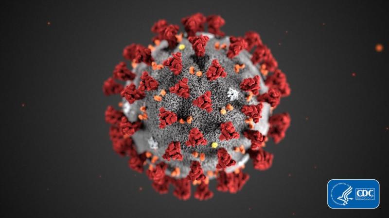 Coronavirus illo