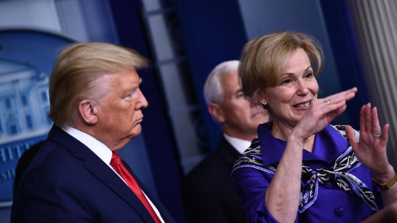 Deborah Birx at White House coronavirus press conference