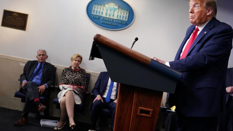 Trump at White House press conference