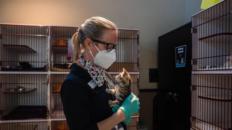 CatHumaneSocietyVirus