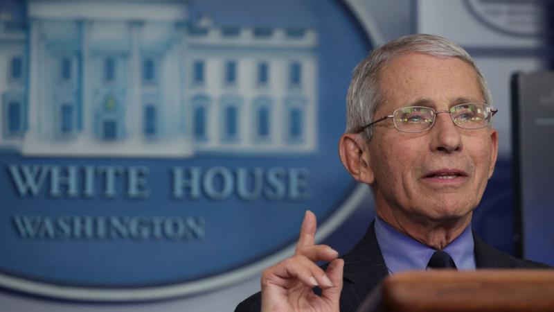 Dr. Anthony Fauci on April 17, 2020