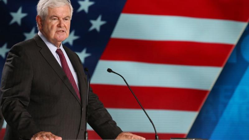 Former Speaker of the House Newt Gingrich in June 2018