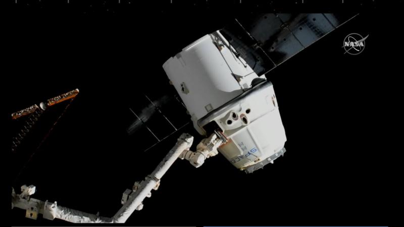 The SpaceX Dragon cargo