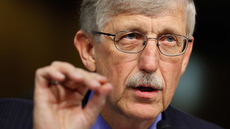 NIH Director Doctor Francis Collins
