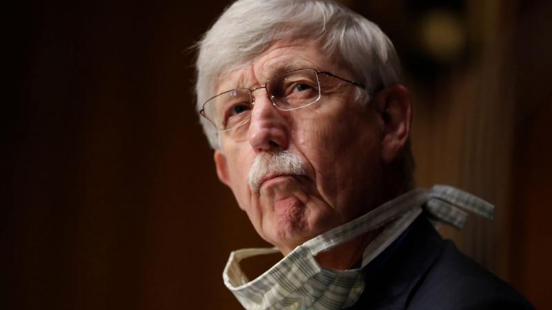 NIH Director Francis Collins