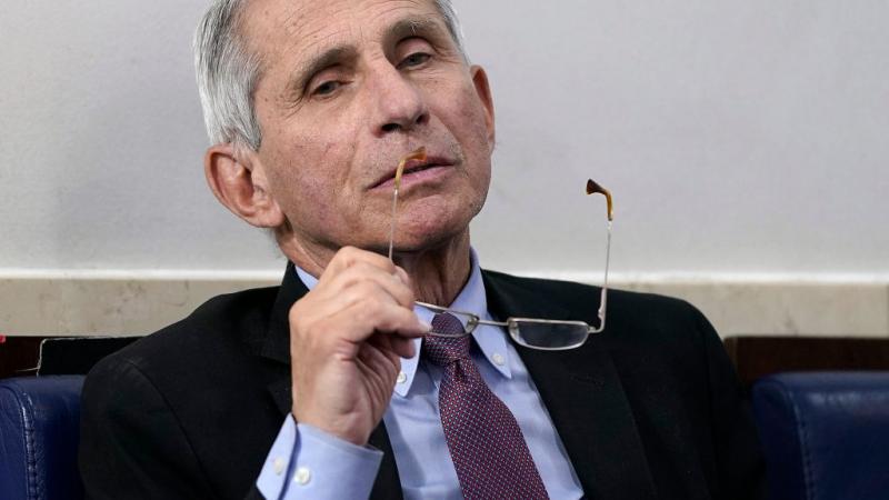 Dr. Anthony Fauci on April 22, 2020