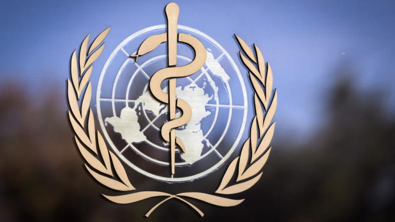 World Health Organization