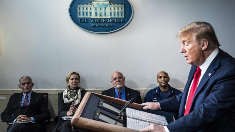 Coronavirus Task Force leaders