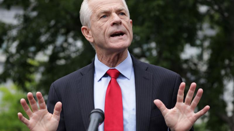 Peter Navarro on June 18, 2020