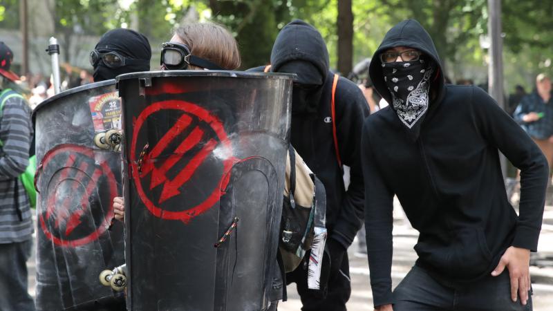 AntifaActivists