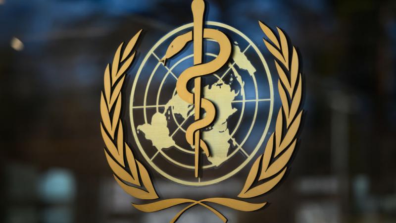 World Health Organization logo in February 2020