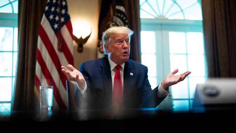 President Trump at a roundtable meeting at the White House, Apr. 3