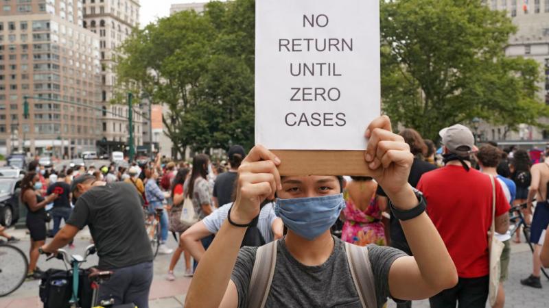 A protester on a recent 'Day of Resistance' for teachers