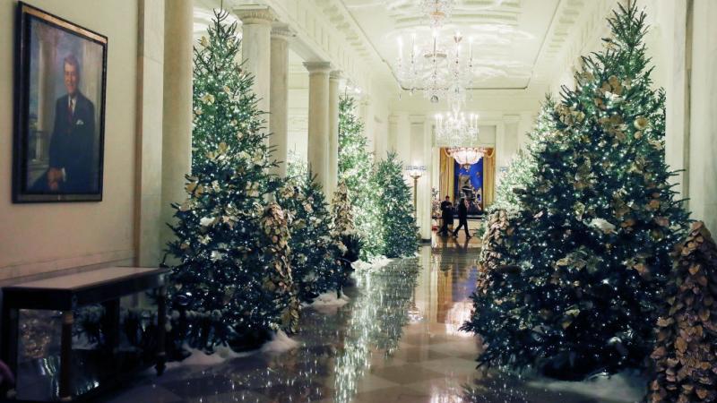 Christmas trees line the hallway in the White House