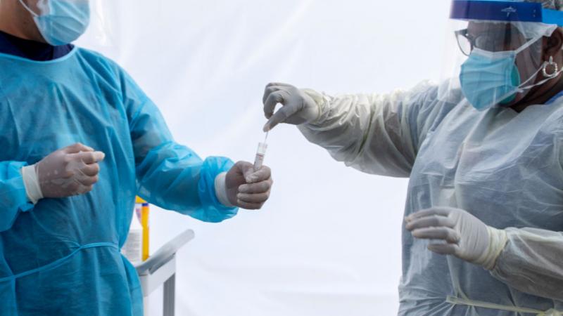 Workers handling a swab sample, Los Angeles, July 24