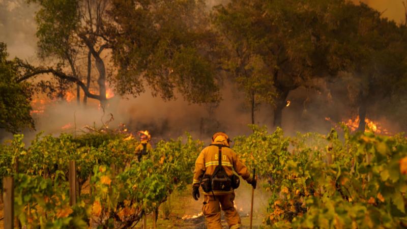 Glass Fire in Napa County 