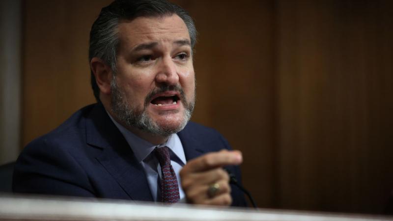 Sen. Ted Cruz in August 2020