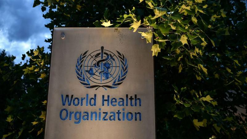 The World Health Organization in Geneva