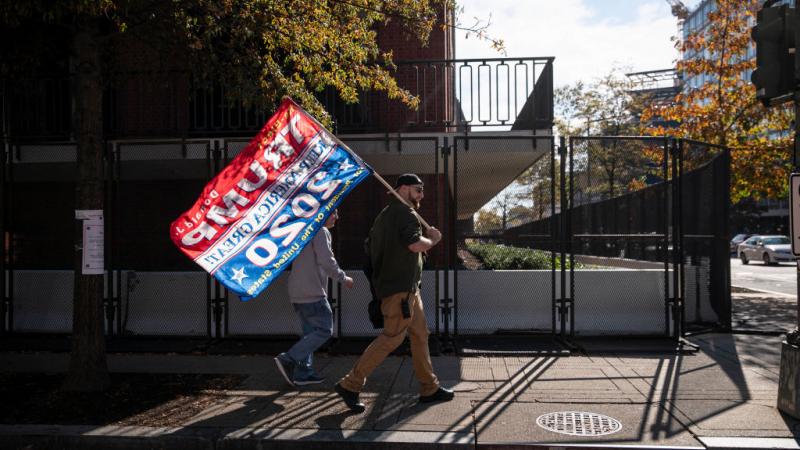 A Trump supporter in Washington, D.C., Nov. 13