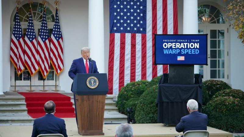 President Trump in the Rose Garden, Nov. 13
