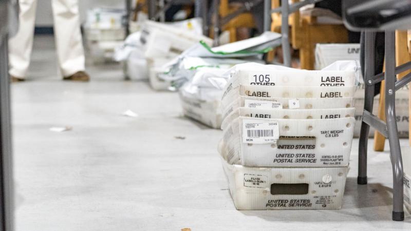 Georgia election recount