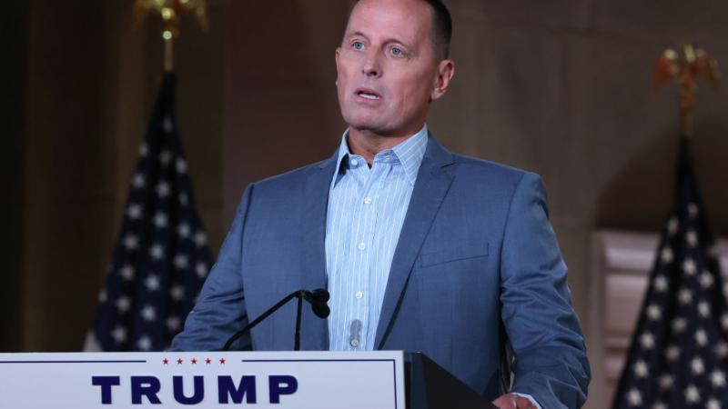 Former acting DNI Ric Grenell