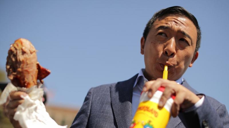 Andrew Yang