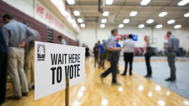 Voters line up to vote in Georgia in 2018