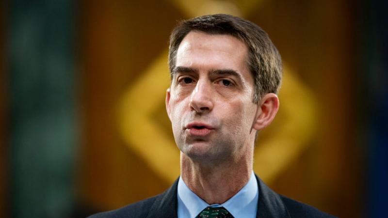Sen. Tom Cotton on December 1, 2020