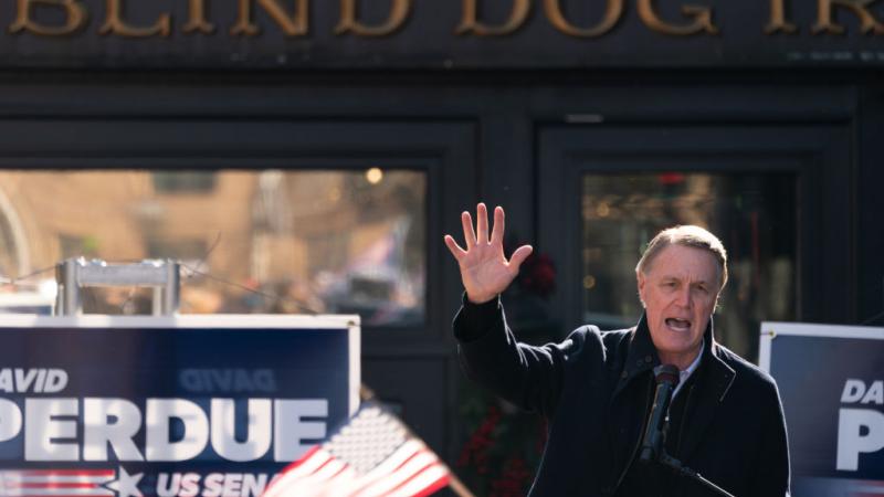 David Perdue