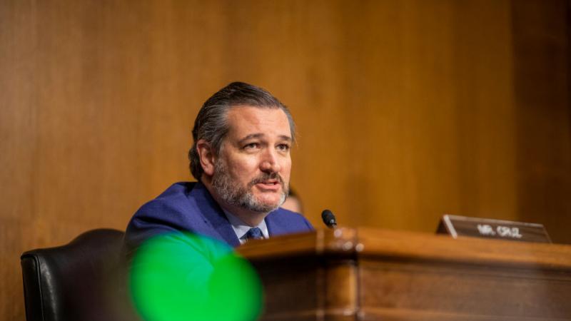 Sen. Ted Cruz in November 2020