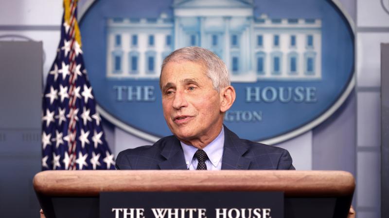 Dr. Anthony Fauci, director of the National Institute of Allergy and Infectious Diseases, speaks during a White House Coronavirus Task Force press briefing in the James Brady Press Briefing Room at the White House on November 19, 2020 in Washington, DC.