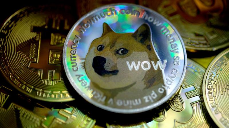 A dogecoin