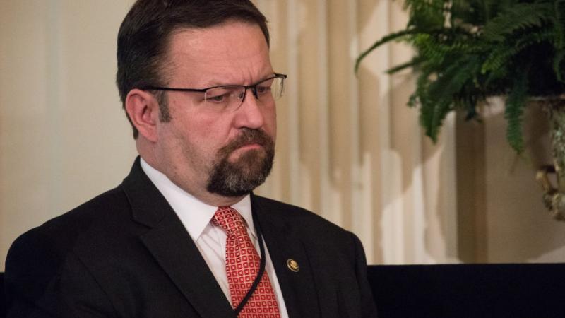 Sebastian Gorka in 2017