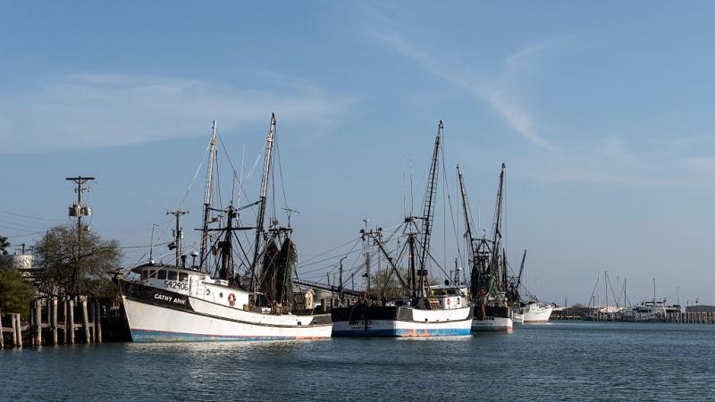 commercial fishing boats 