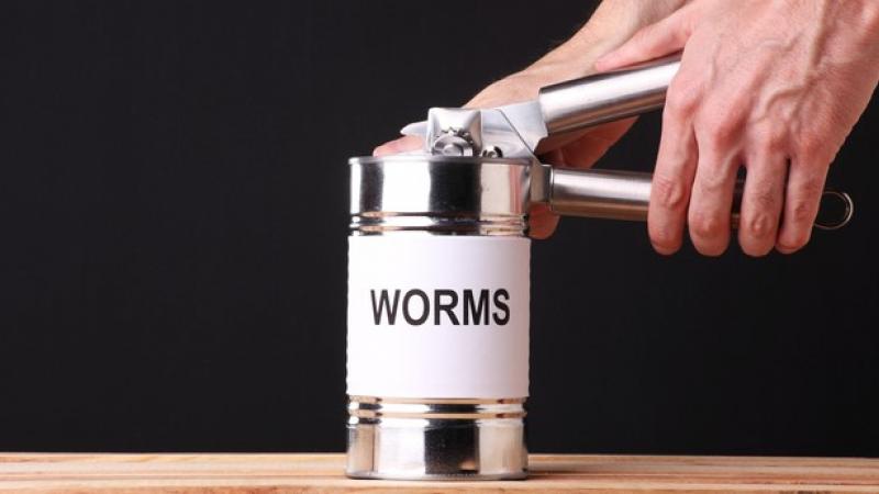 Worms