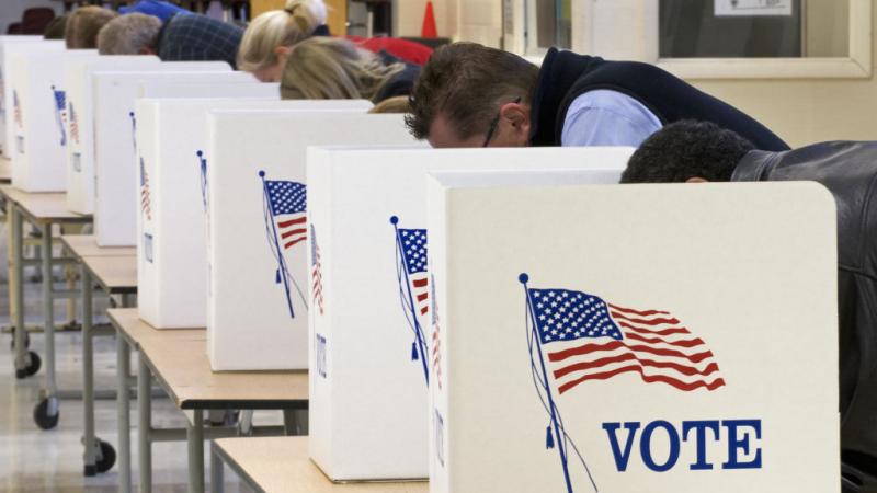 Voters on Election Day in Virginia in 2008