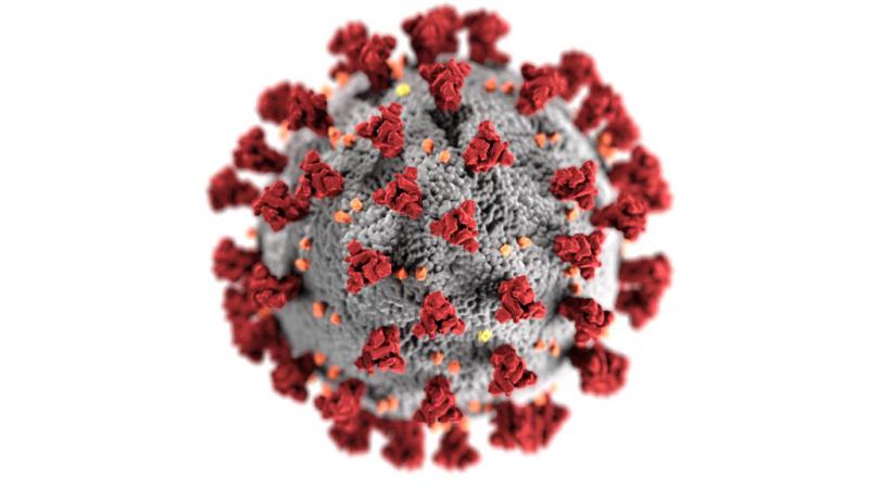 COVID-19 Coronavirus molecule
