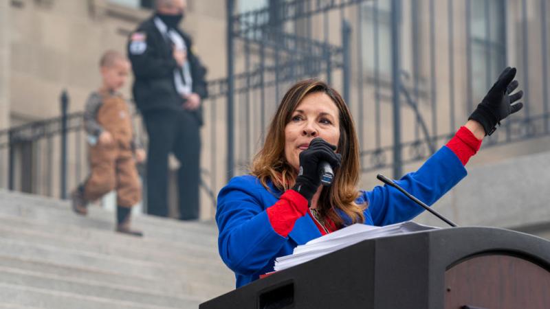 Idaho Lieutenant Governor Janice McGeachin 