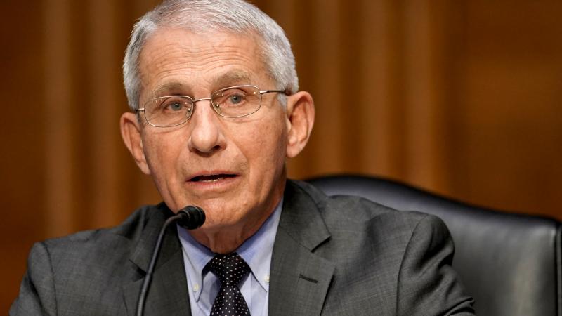 Dr. Anthony Fauci, director of the National Institute of Allergy and Infectious Diseases, speaks during a Senate Health, Education, Labor and Pensions Committee hearing to discuss the ongoing federal response to COVID-19 on May 11, 2021 in Washington, DC.