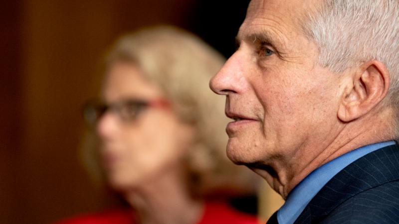 Anthony Fauci at the U.S. Senate, May 26