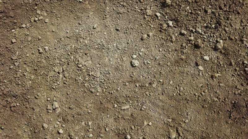 The school is located in British Columbia 