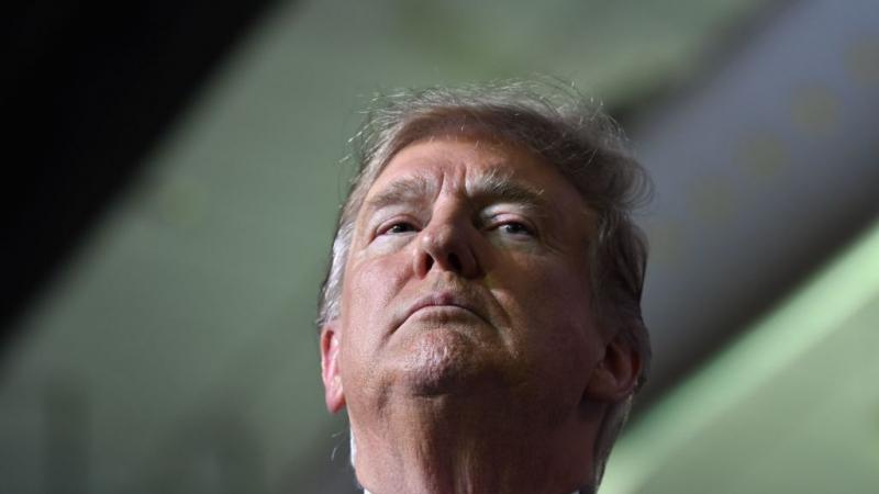 President Trump in 2019