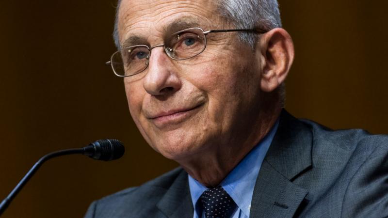 Anthony Fauci, May 11