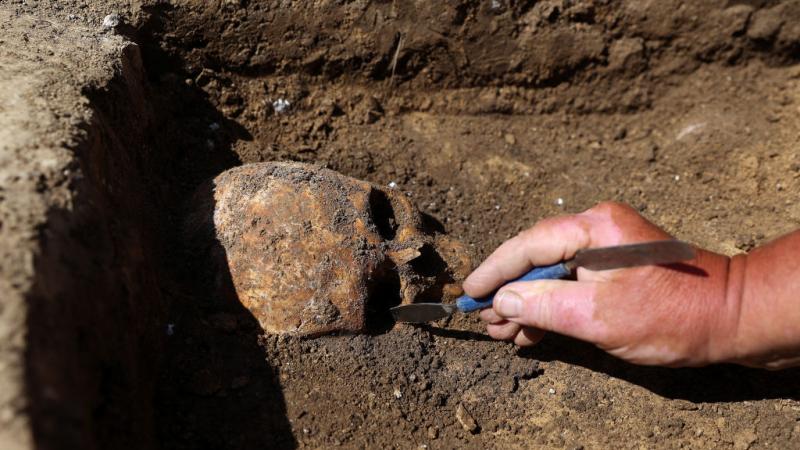 A fossil of a human skull at an archeological site.