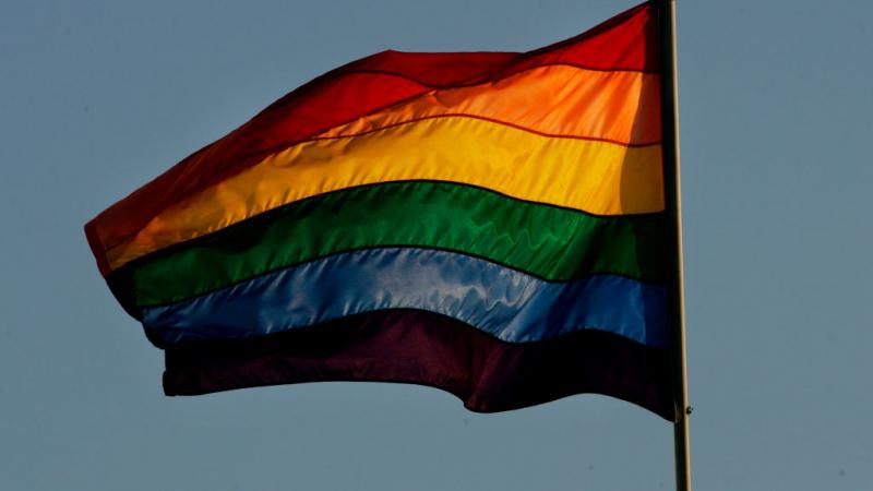 Rainbow flag in California in 2008