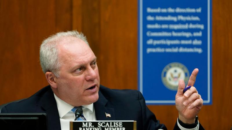 Steve Scalise, coronavirus hearing