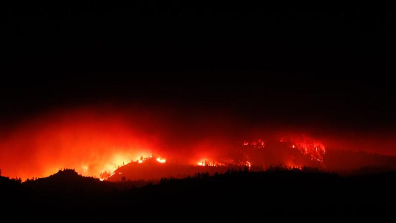 Trees burning as a result of the Beckwourth Complex fire in California on July 9, 2021