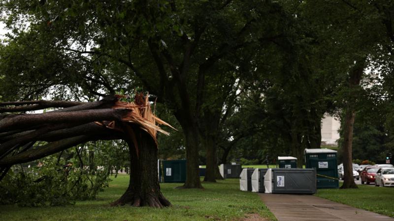 Damage from a tornado-producing storm in Washington, D.C., July 2
